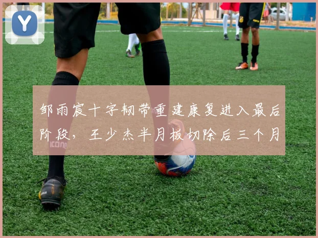 邹雨宸十字韧带重建康复进入最后阶段,王少杰半月板切除后三个月重返赛场
