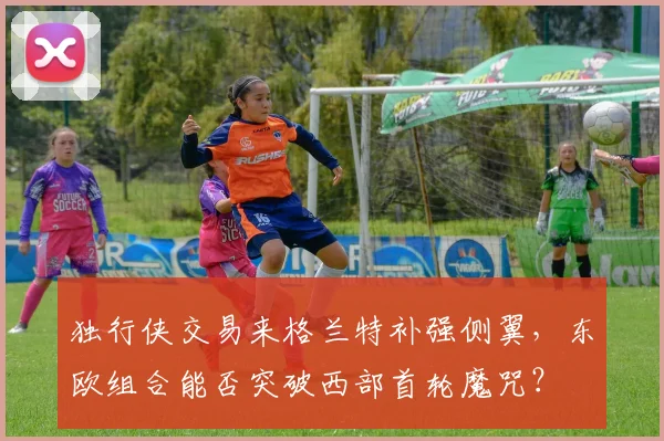 独行侠交易来格兰特补强侧翼，东欧组合能否突破西部首轮魔咒？